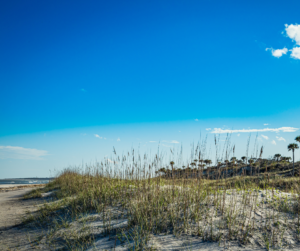 Amelia Island sand dunes