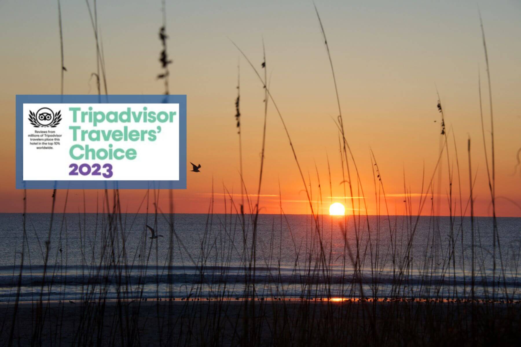 TripAdvisor Award for the Addison with a backdrop of sunset on Amelia Island