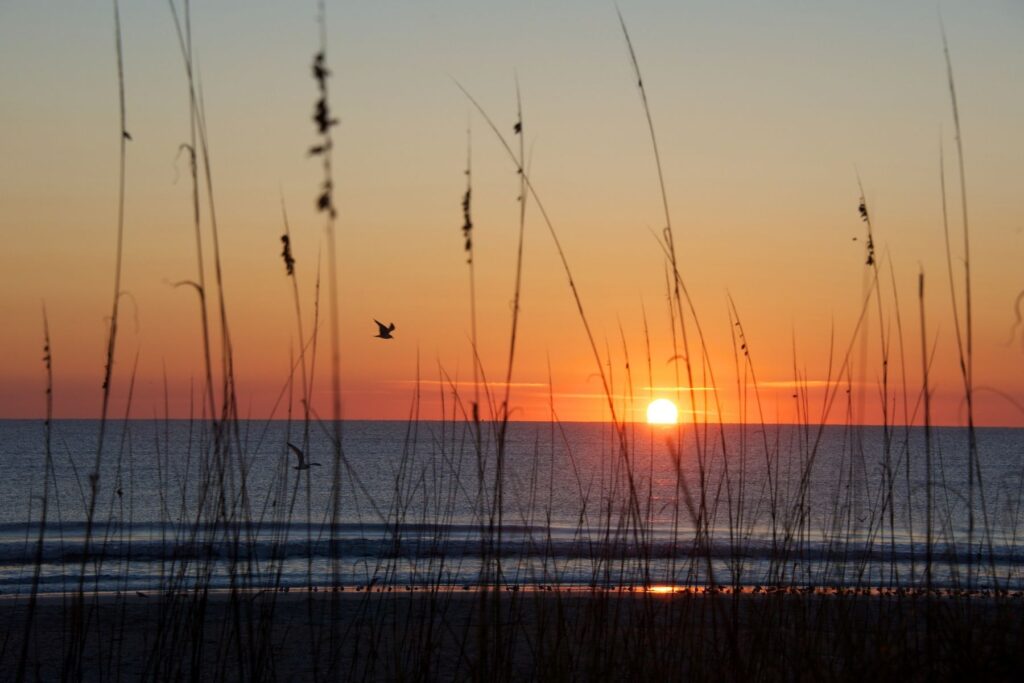 sunset picture of amelia island