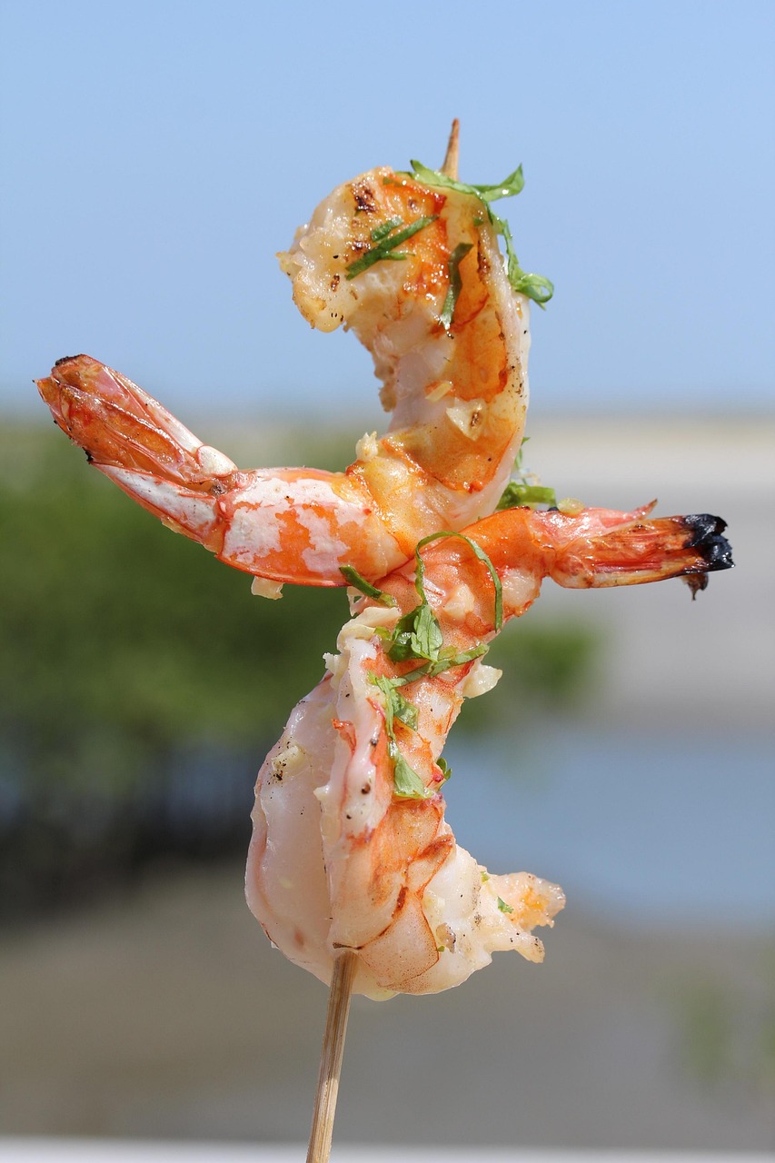 food, macro, shrimp, tasty-2355794.jpg