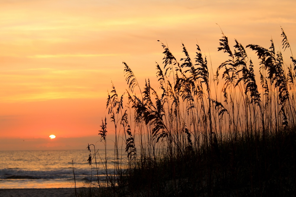 Amelia Island Beach sunset