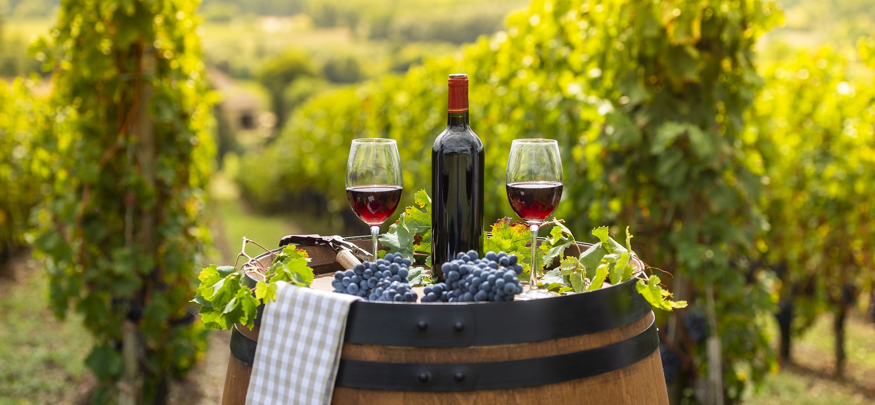 Winery Tour Package