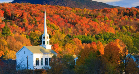 The hillside of Litchfield, CT.