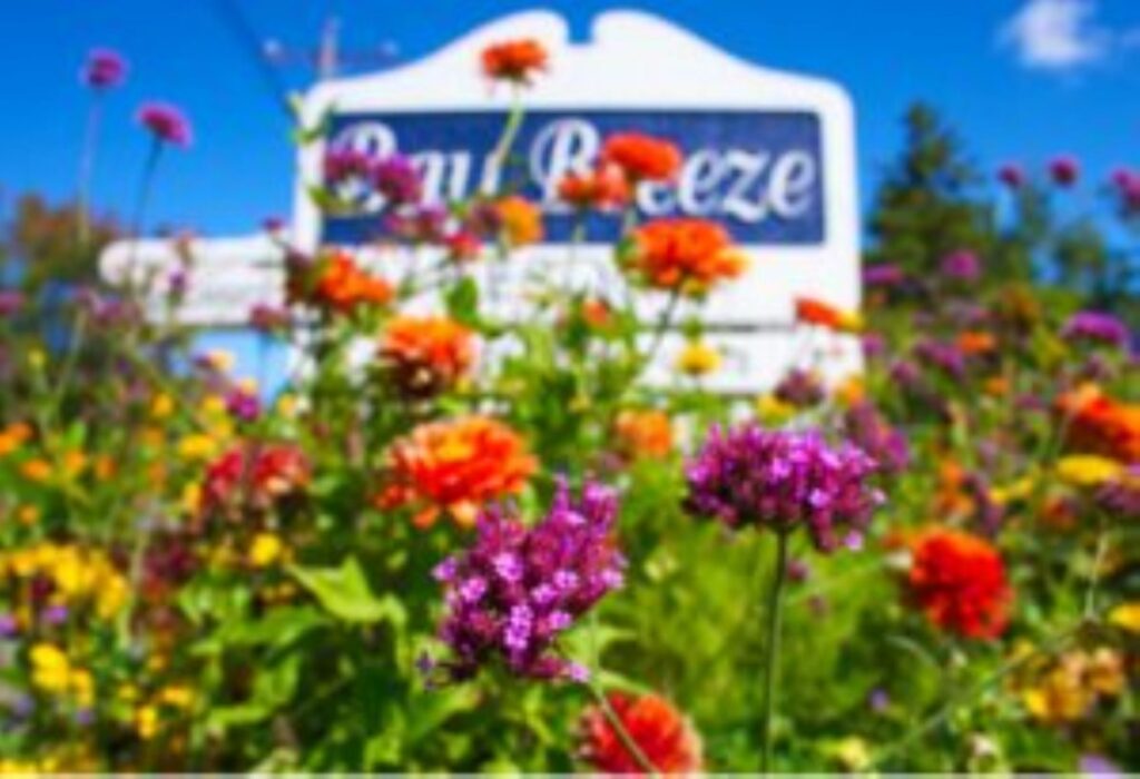 Bay Breeze Sign with Flowers