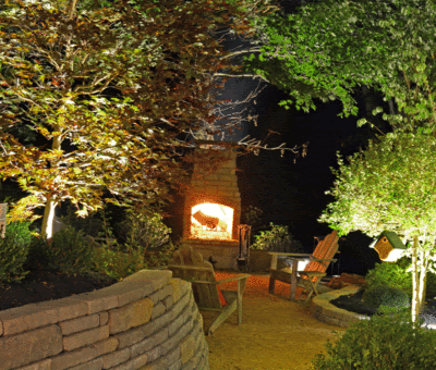 Outdoor Fire Beneath the Tree Canopy