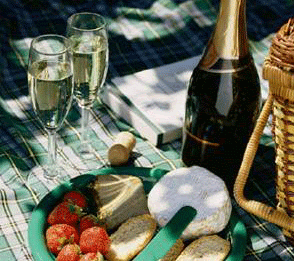 Picnic Lunch - Romantic for Two