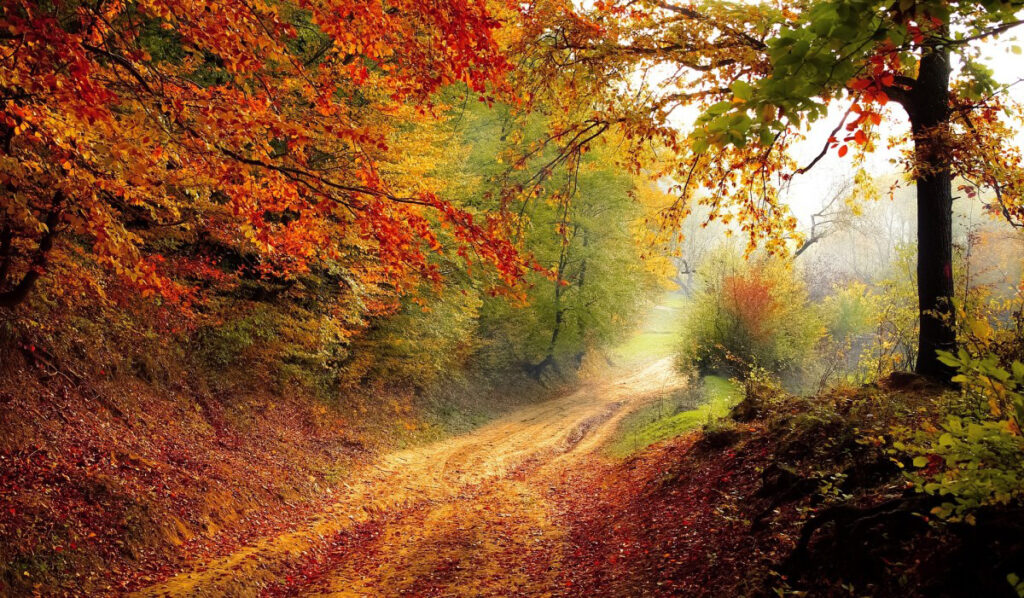 Granville Ohio Autumn Scene | Explore Licking County Link | The Welsh Hills Inn