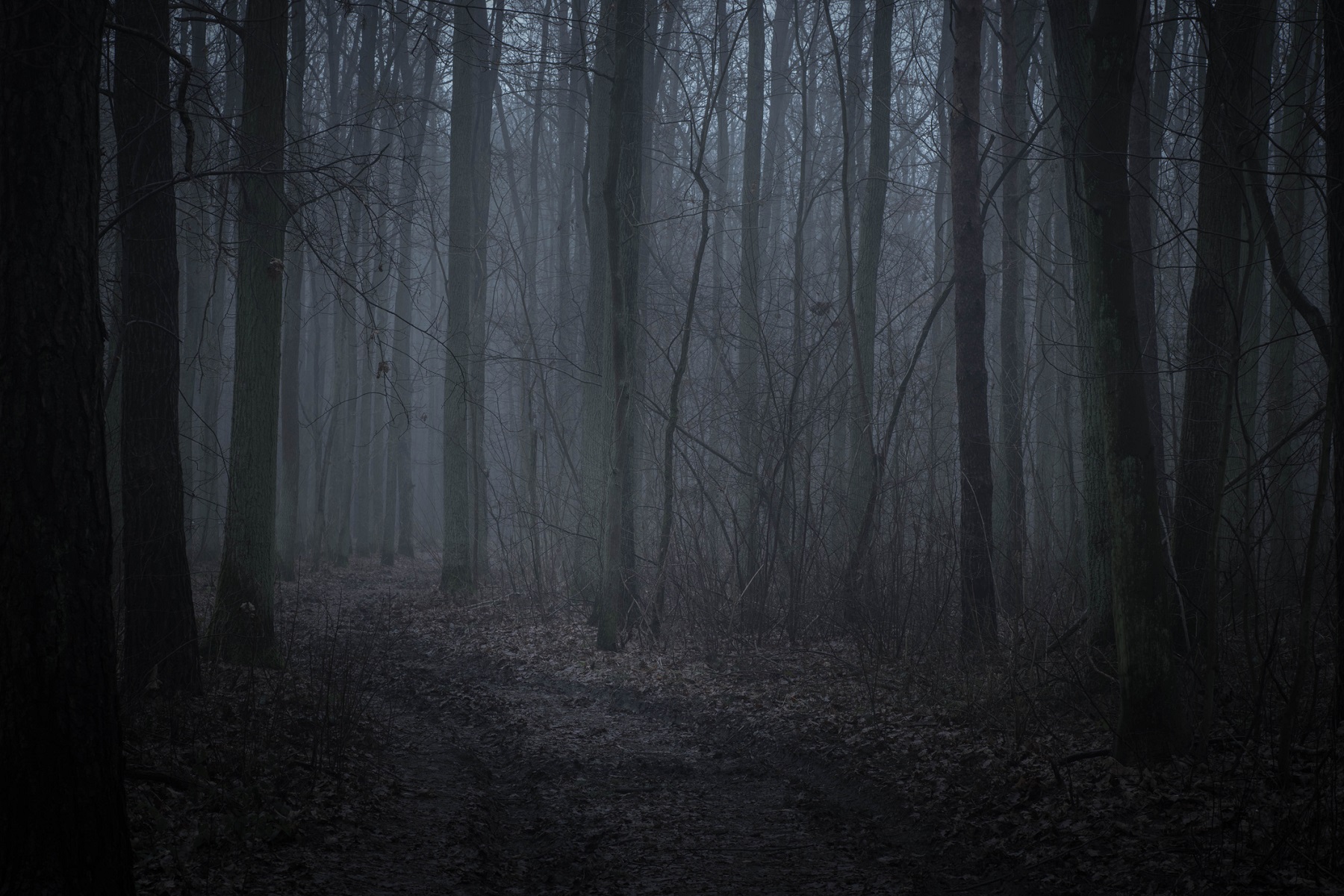 5 Haunted Places in Pennsylvania That Will Give You the Spooks