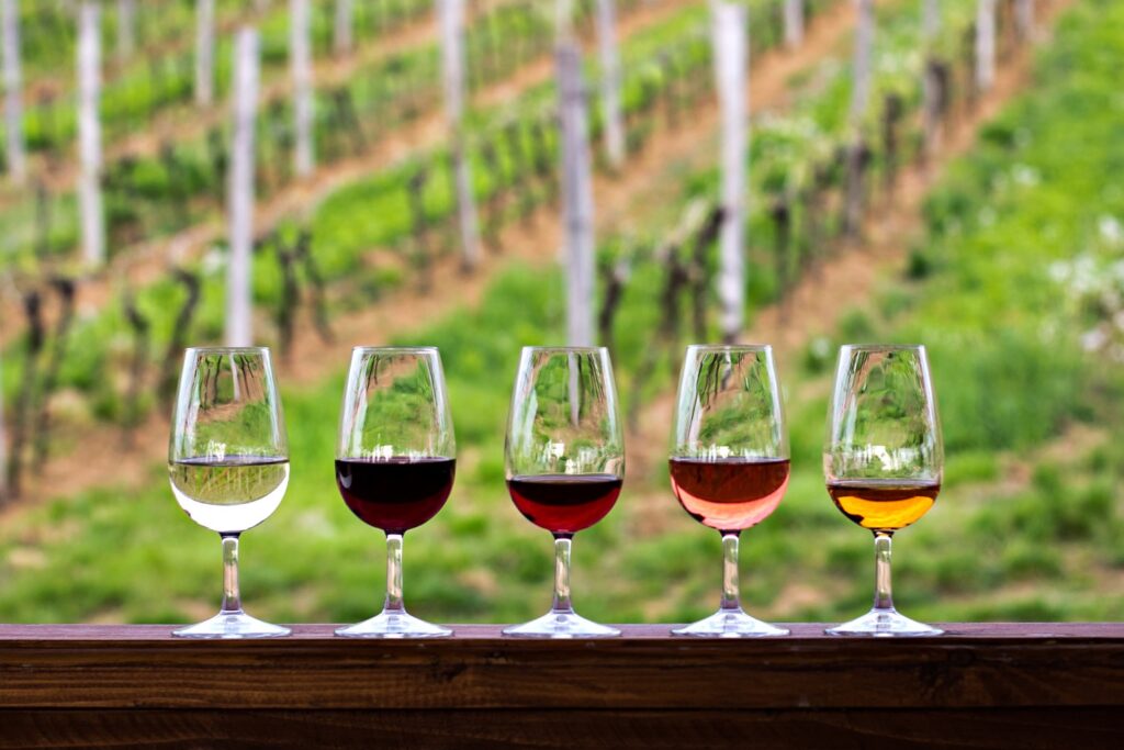 wine glasses in front of vineyard