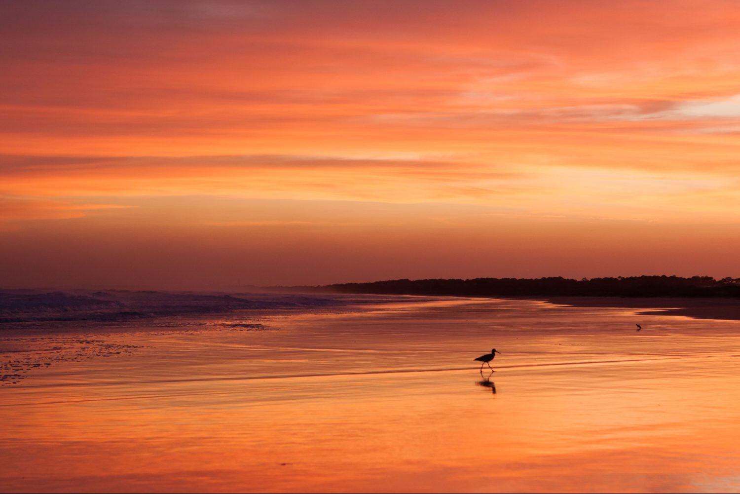 Read our Kiawah Island Destination Guide for the best tips on the area!