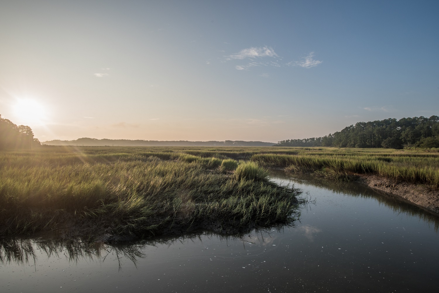 Discover our favorite things to do on Kiawah Island.