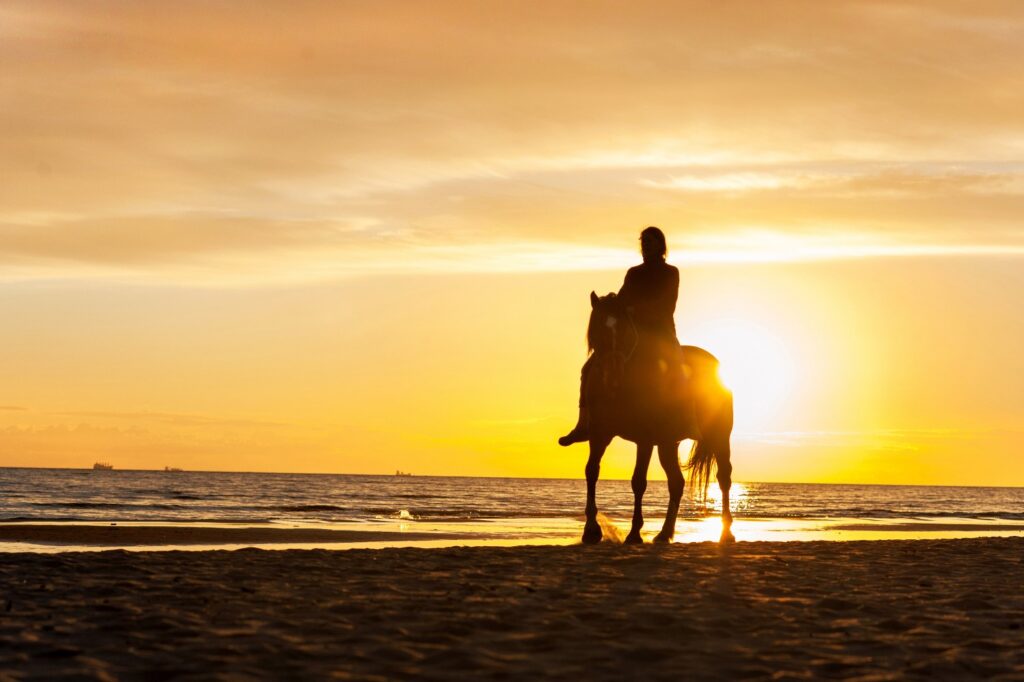 Seabrook Equestrian Center horseback riding on the beach at sunset