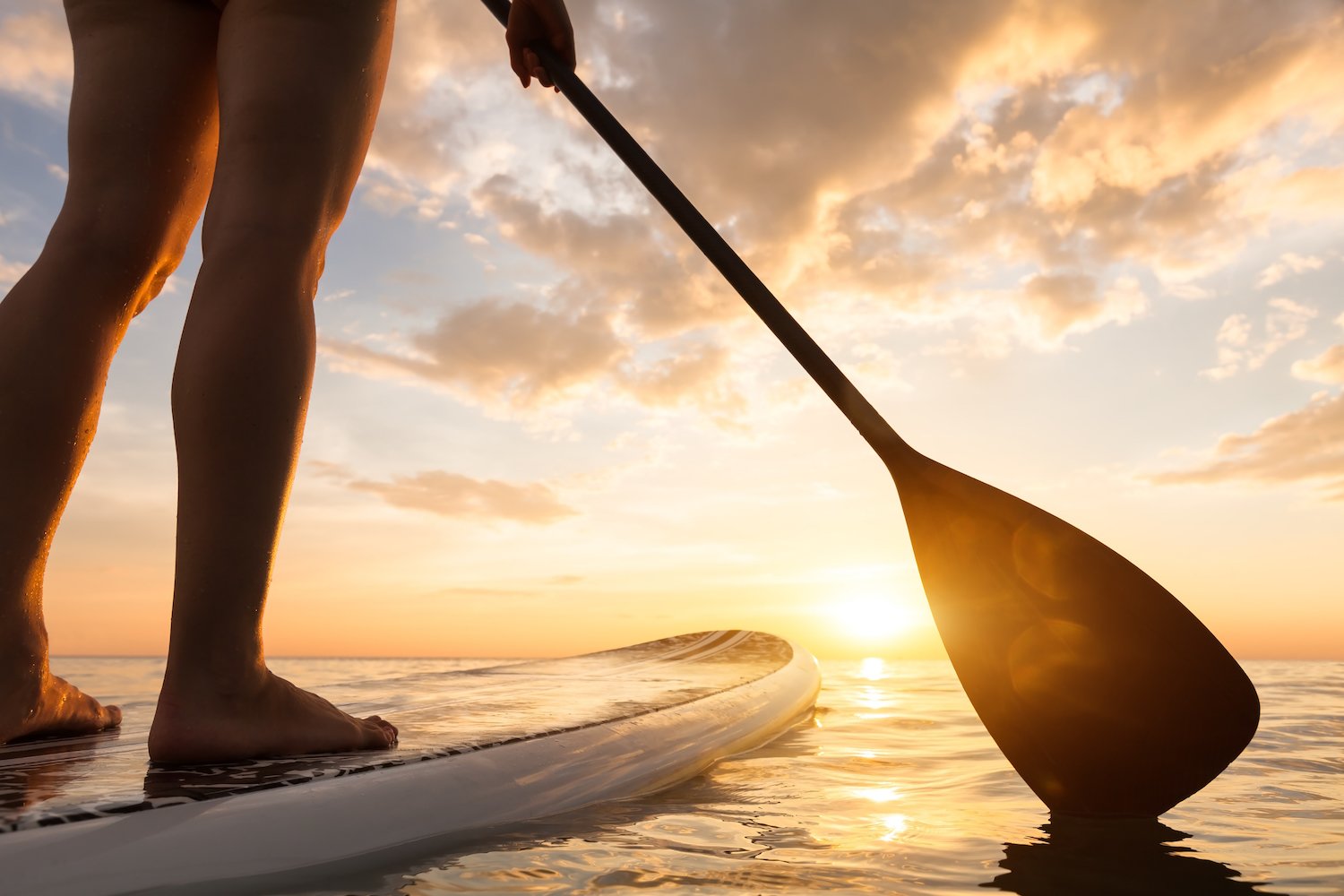 Everything You Need to Know About Paddleboarding in Charleston, SC