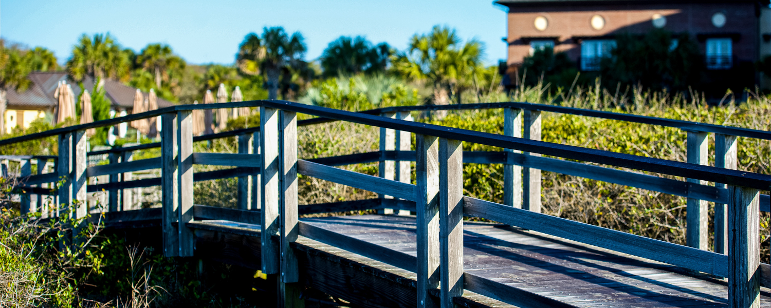 Kiawah vs. Seabrook Island: Relax and have adventures on these sea islands!