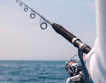 Close up of fishing rod with ocean in background