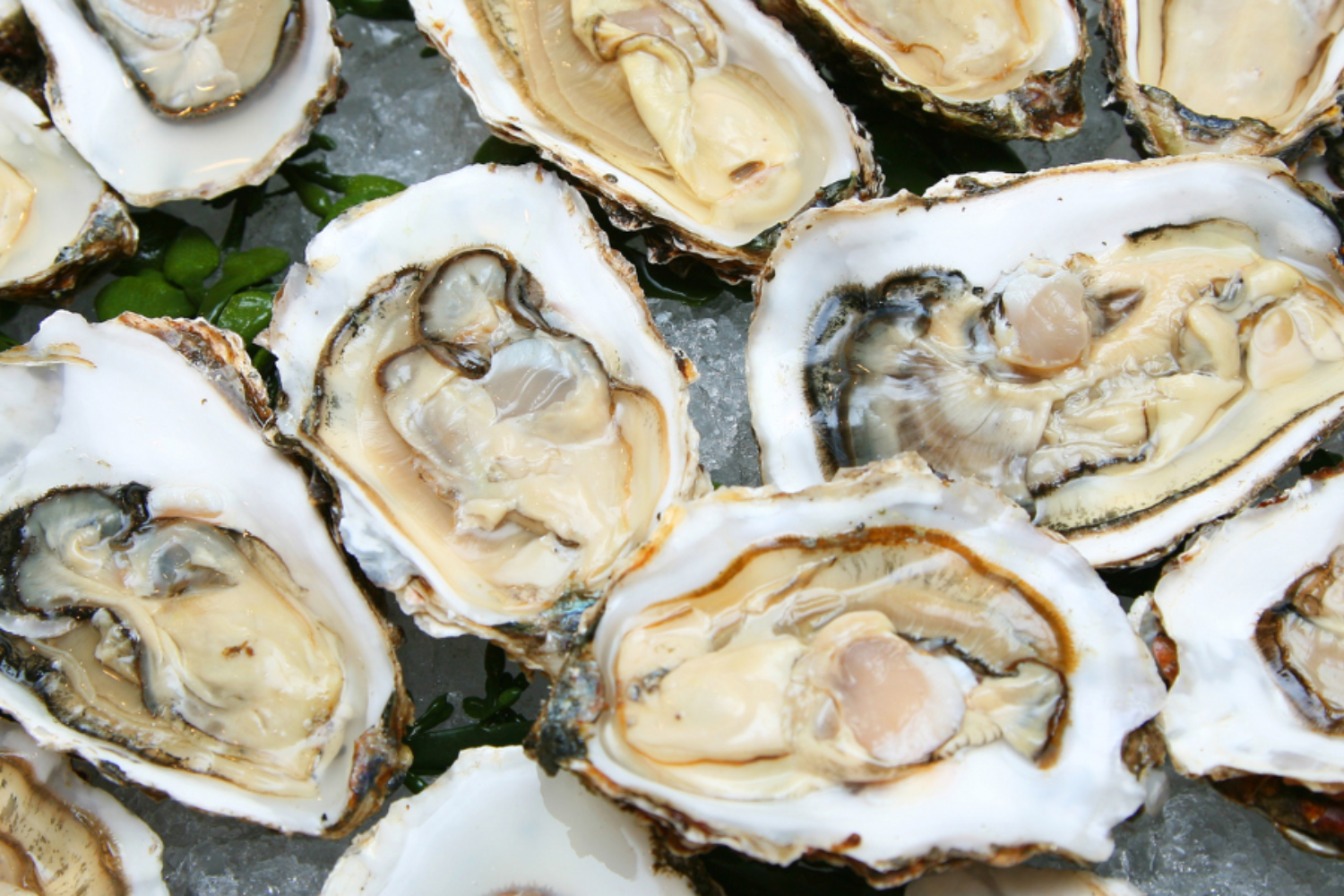 The Best Oyster Roasts on Kiawah island