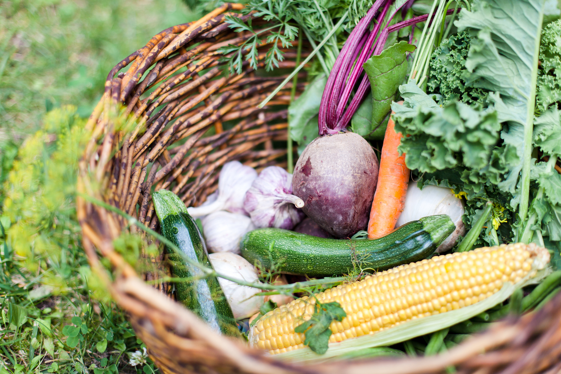 Experience the Flavor and Fun at Legare Farms