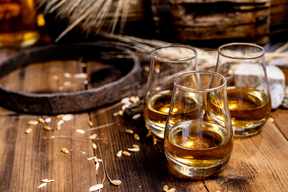 Speyside scotch whisky tasting on old dark wooden vintage table with barley grains close up