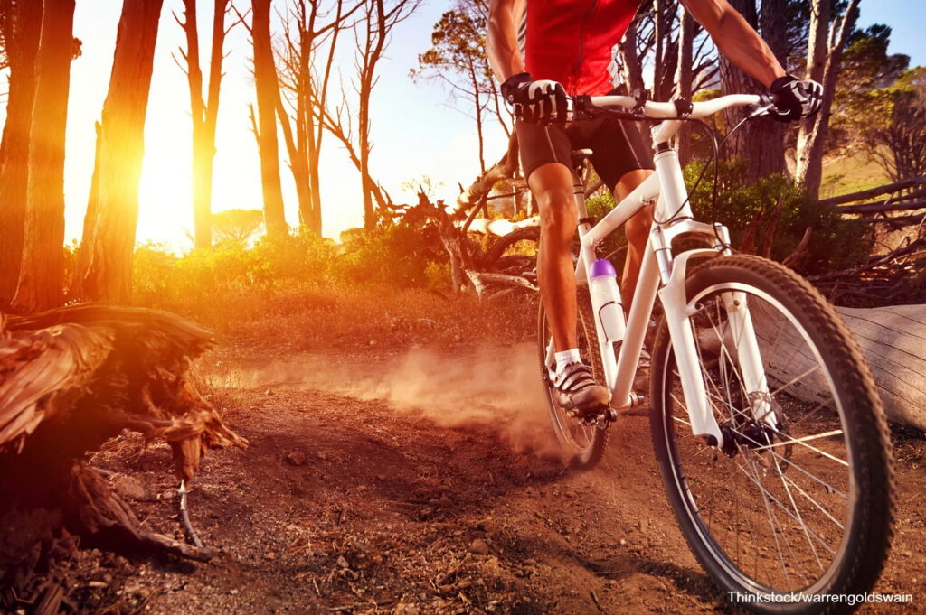 a person biking through the woods