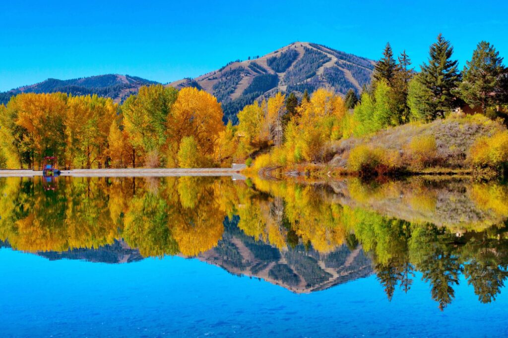 Fall colors in Idaho