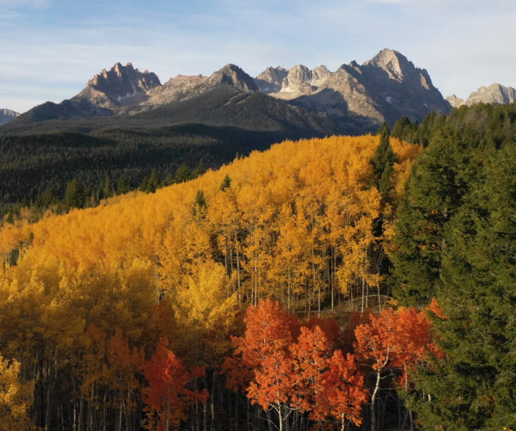 Mountains