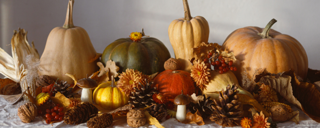 thanksgiving display with pumpkins and pinecones