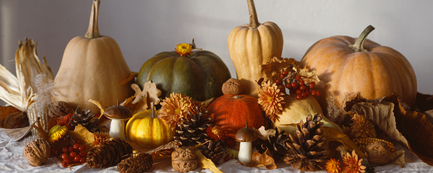 The Best Ways to Celebrate Thanksgiving in Amish Country