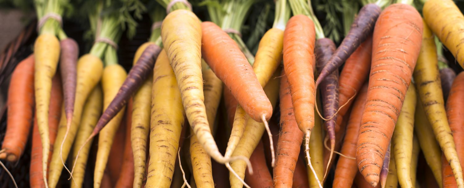 Close up of rainbow carrots