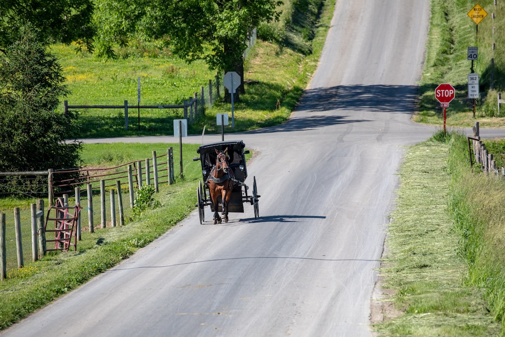 Amish horse and buggy on a country road in the summer in Holmes County, Ohio, near Berlin