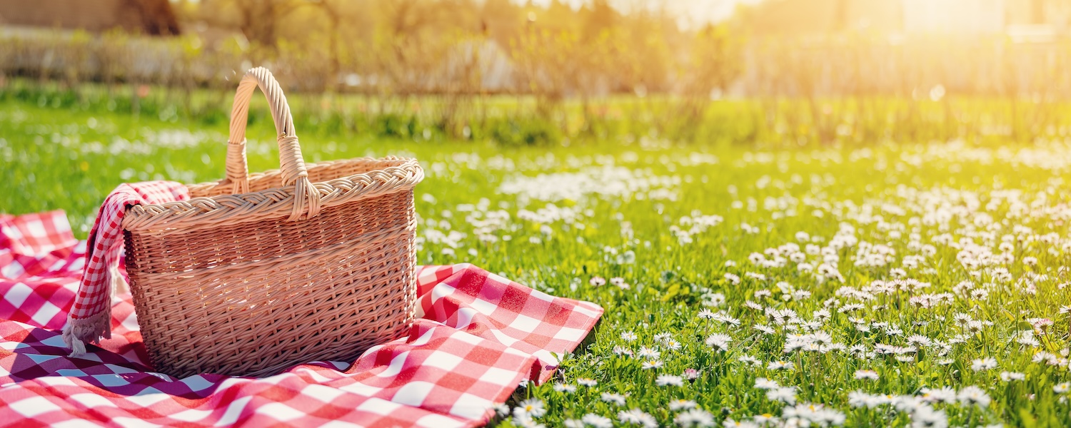 Best Picnic Spots Around Ohio’s Amish Country
