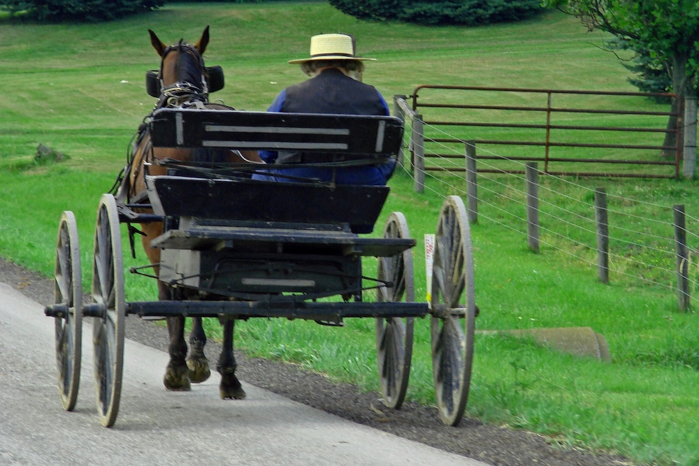 Amish man on buggy in Ohio