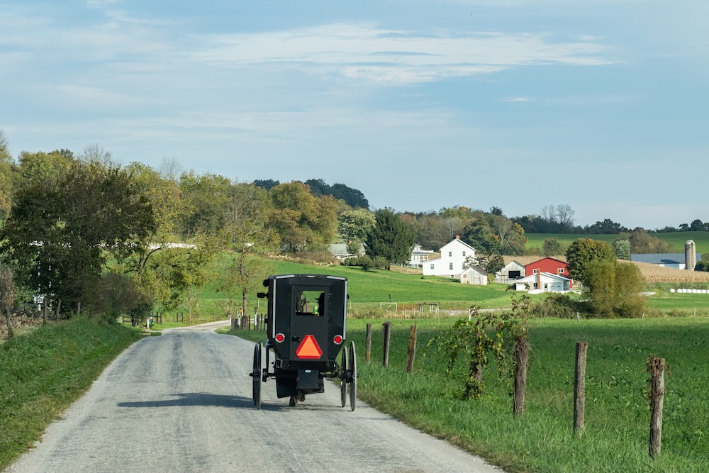 Horse drawn buggy on amish country road