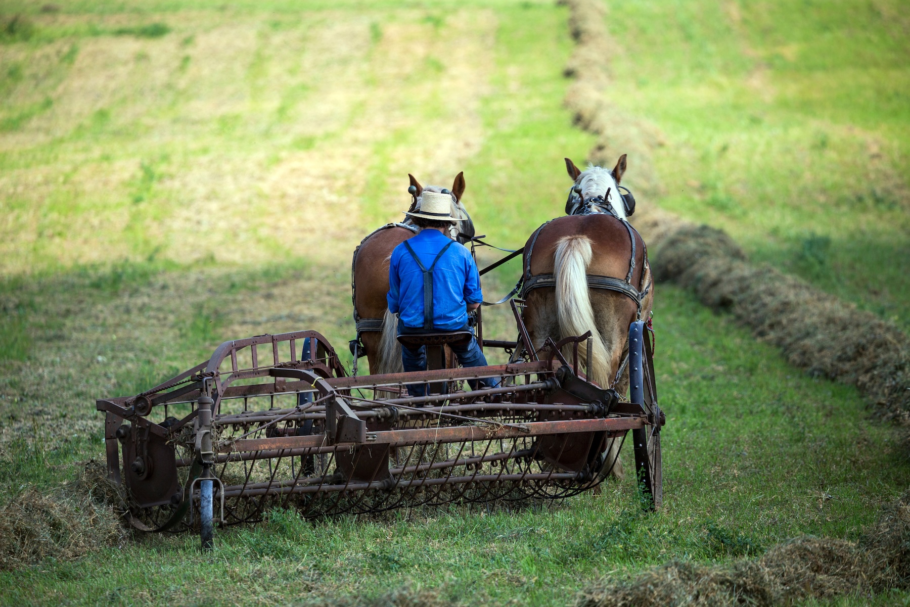 The Perfect 3-Day Knox County Itinerary