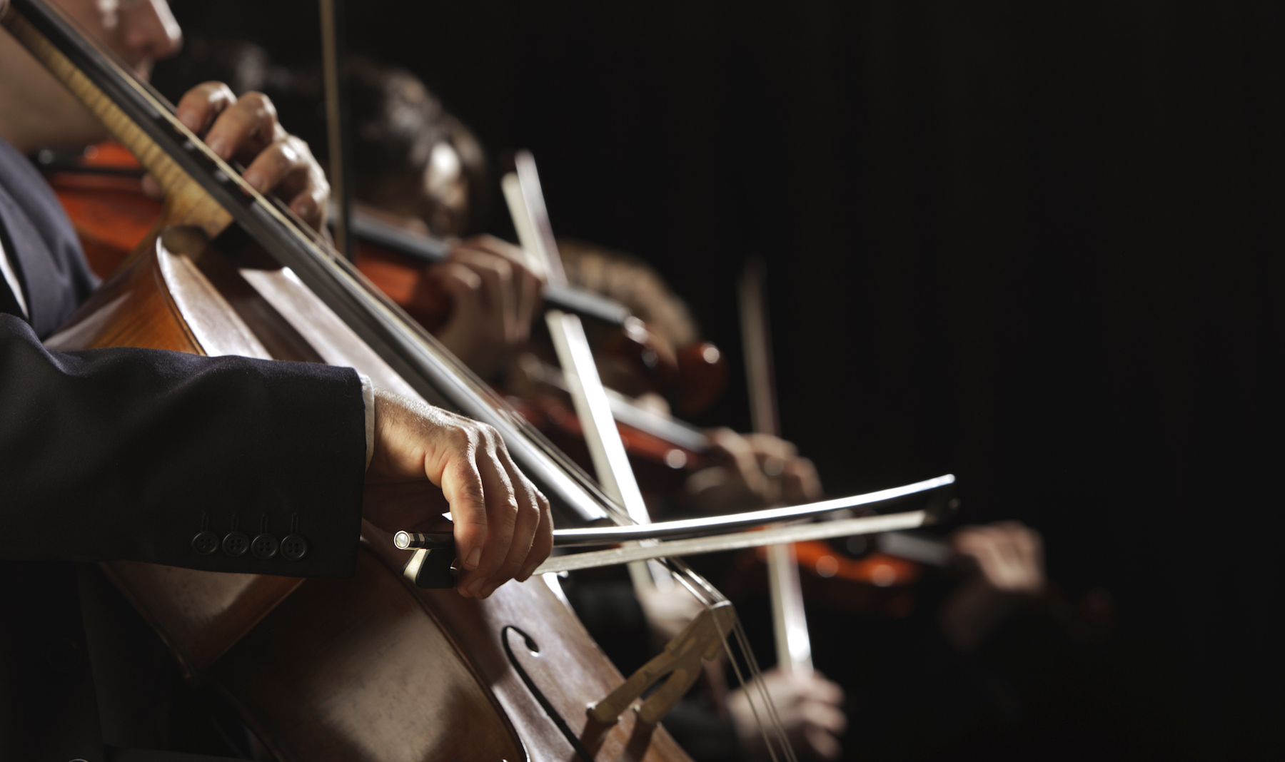 Hand playing a string instrument at symphony