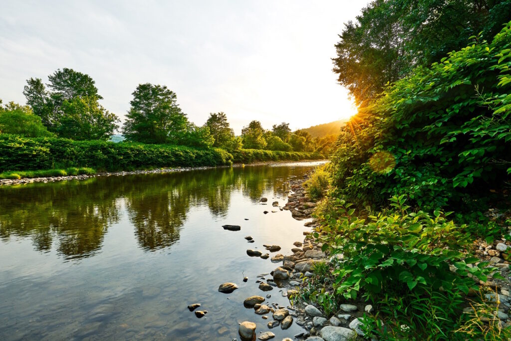 Maine stream