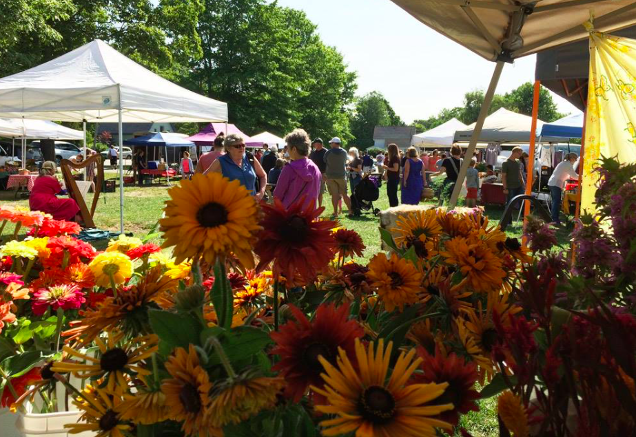 Flowers at the farmers market in Camden, Maine.