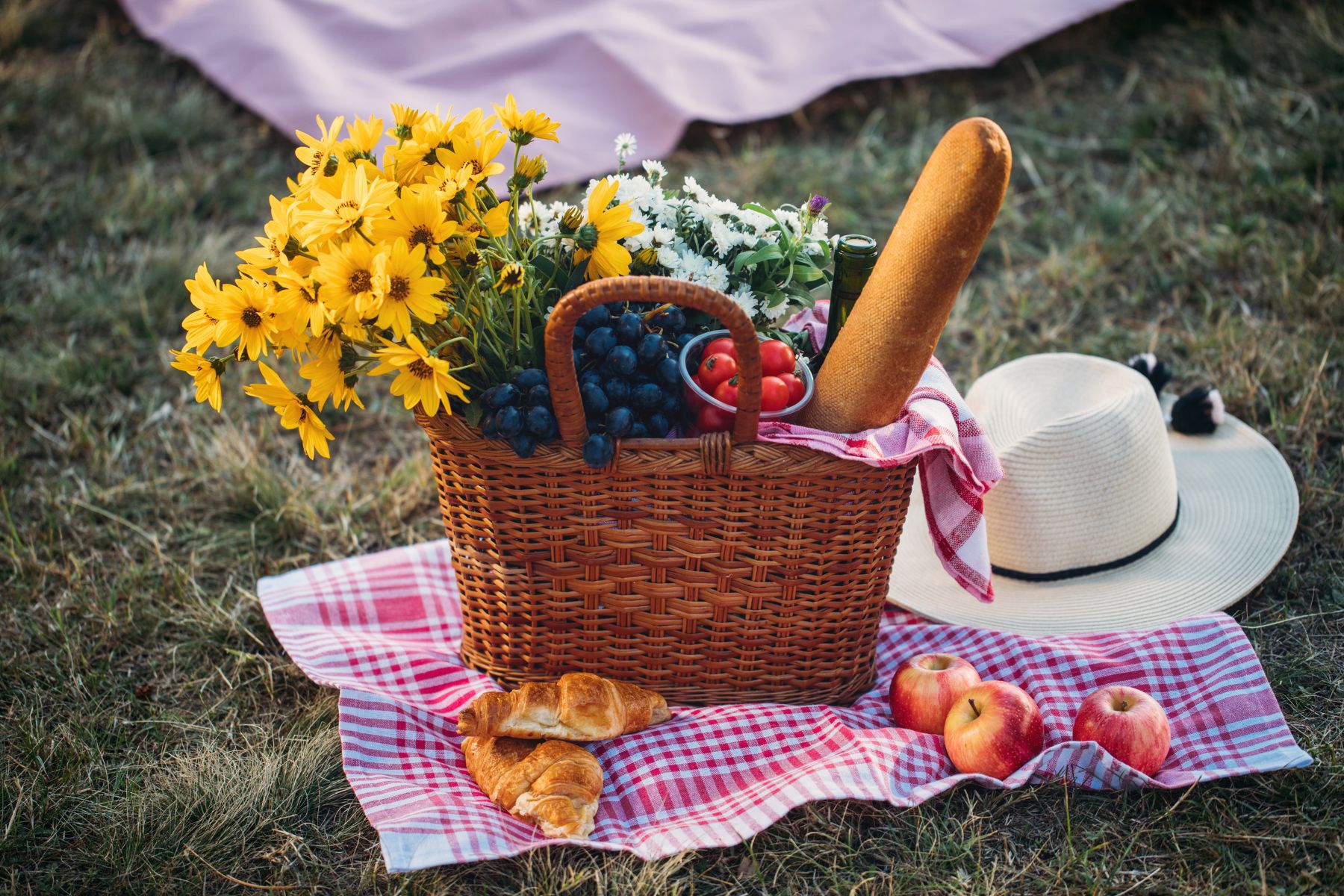 Best Spring and Summer Spots for a Picnic in Camden, ME