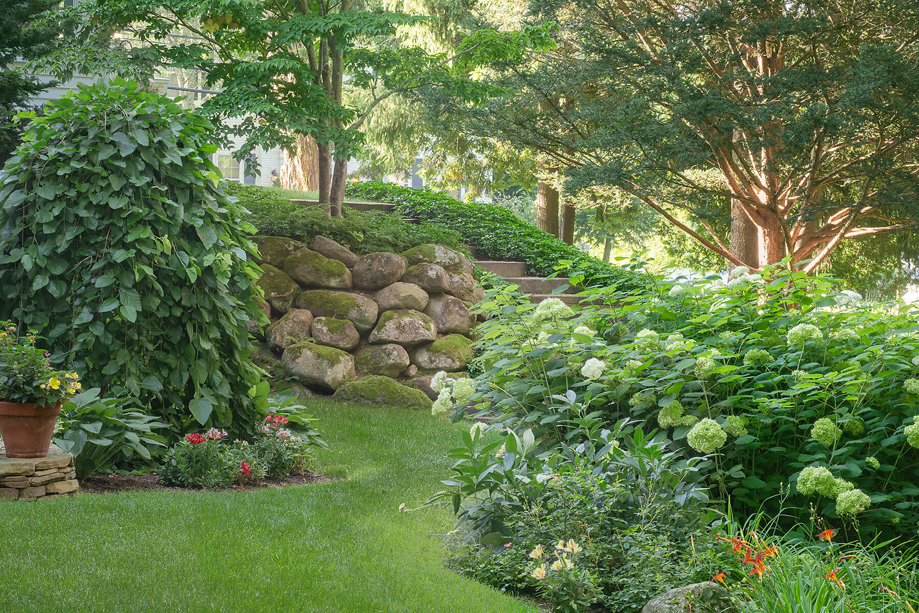 mossy backyard