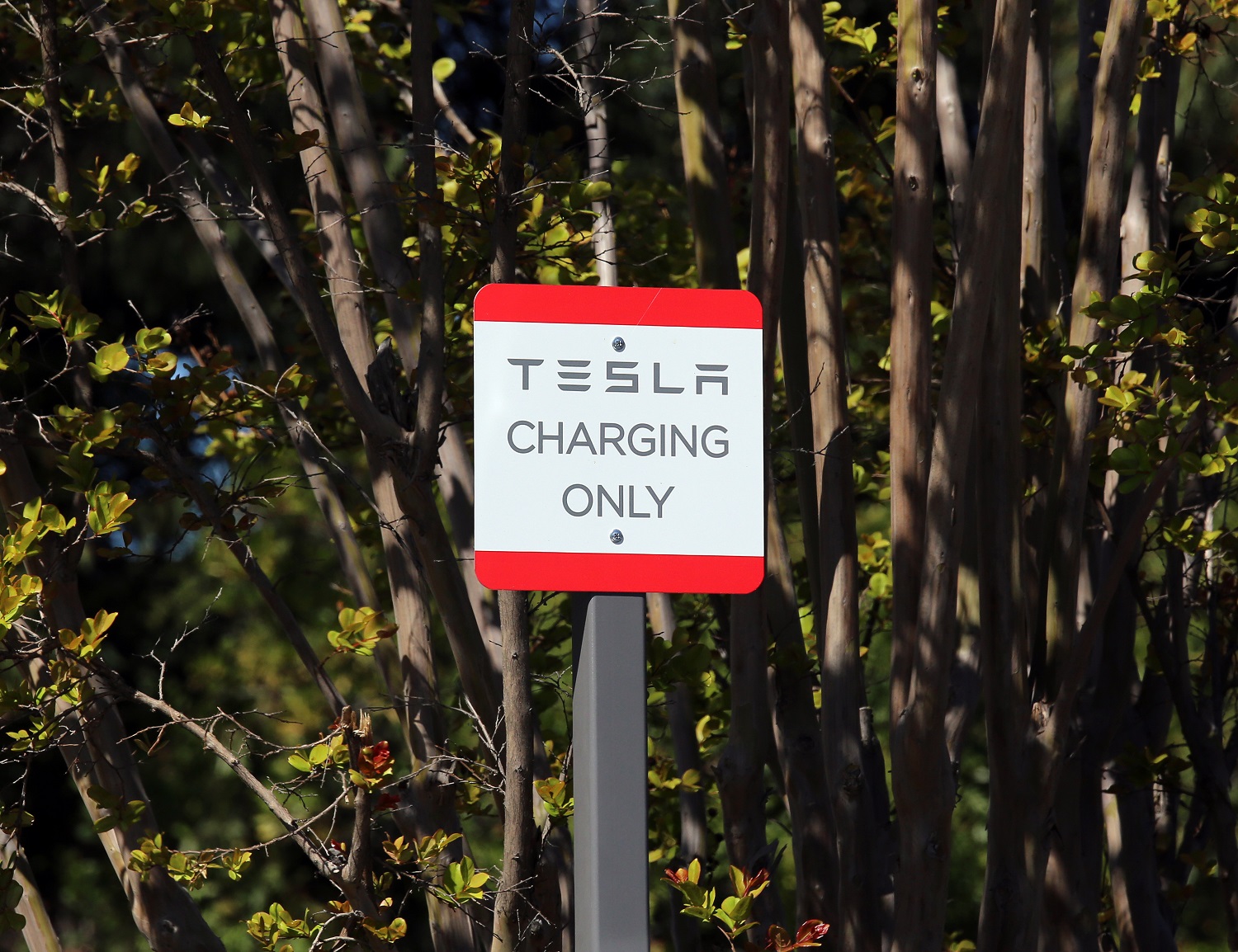 Tesla Charging Station