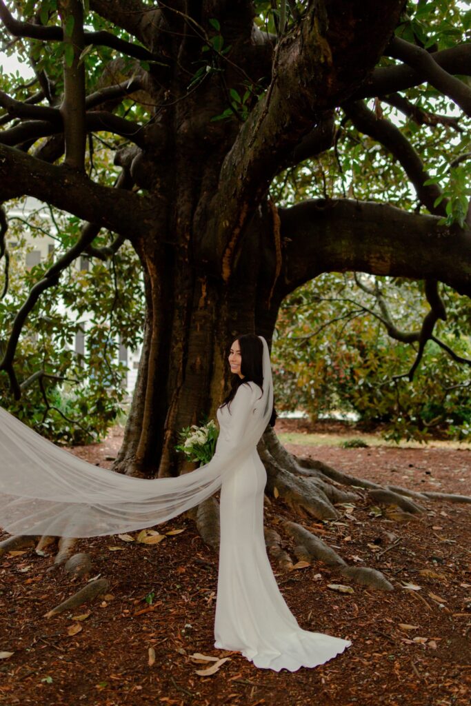 Bride Under Tree in Wedding Dress