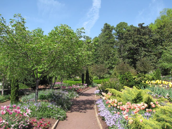 Colorful flora in Duke Gardens, Duke University, North Carolina