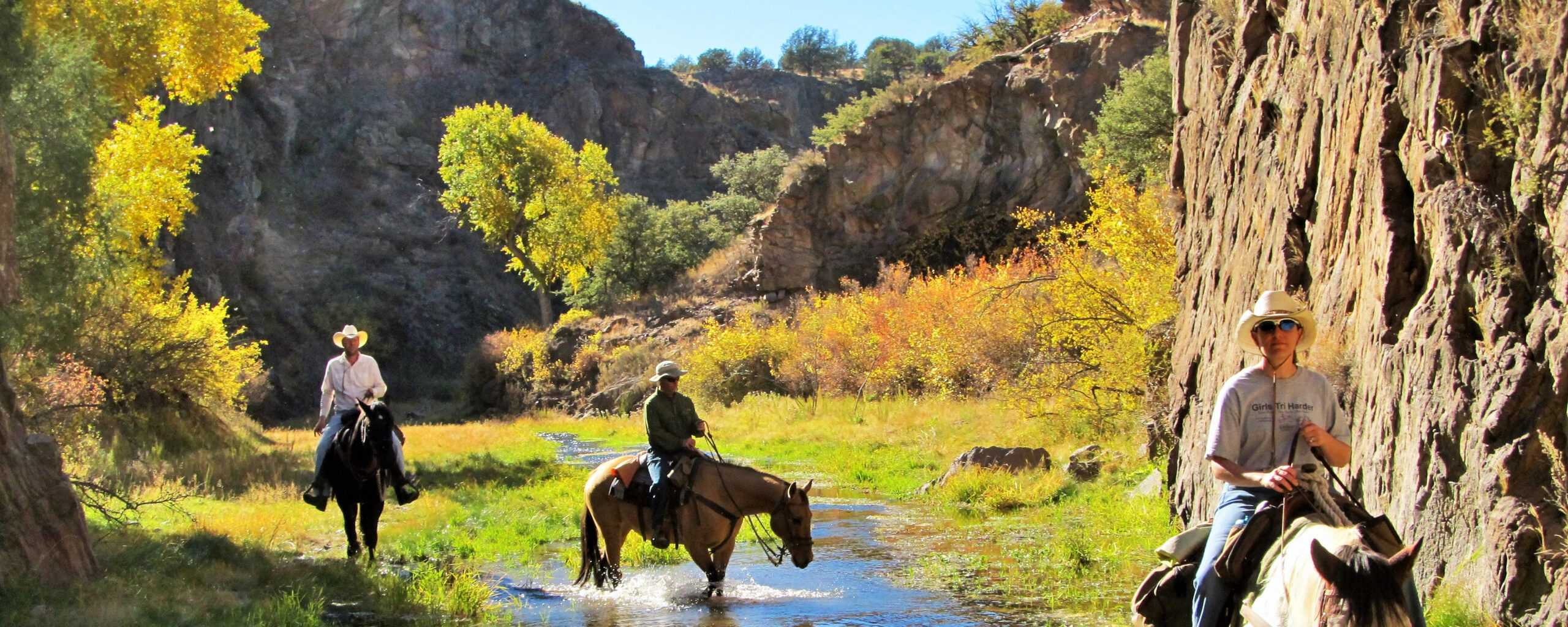 20% Off Cabin & Horseback Riding Package