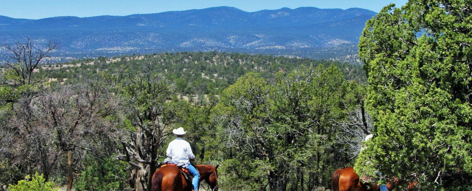 The Best Way to Get from Albuquerque to the Gila National Forest