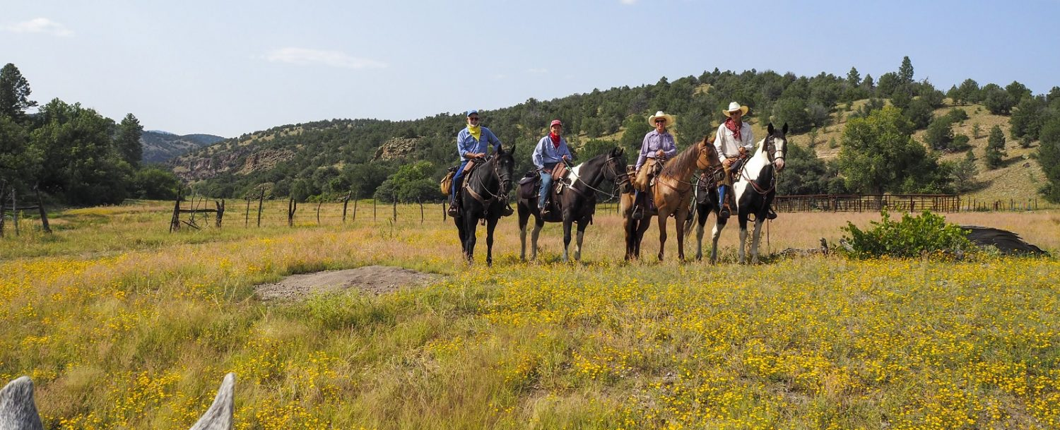 5 Useful Horseback Riding Tips for Trail Riders of Any Skill Level