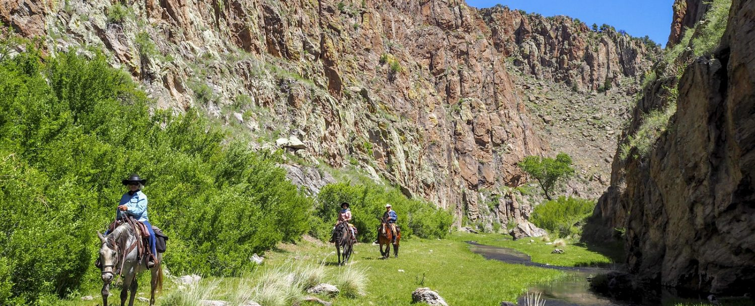 Why You’ll Love the Gila National Forest in Spring