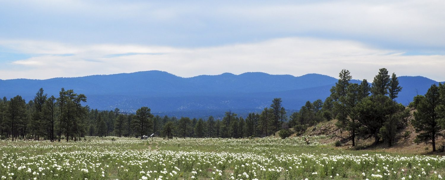 Plan the Perfect New Mexico National Parks Road Trip