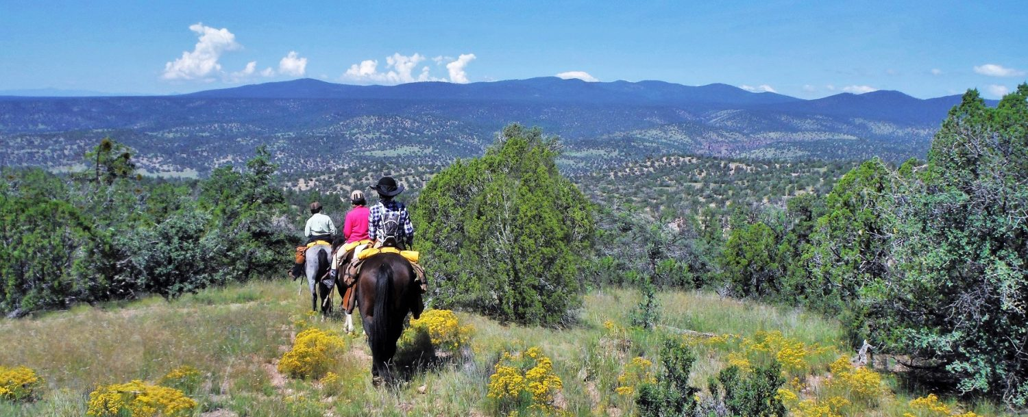 5 New Mexico Staycations You’ll Want to Check Out This Summer