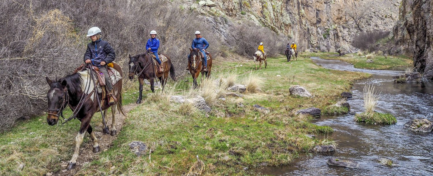 7 Tips For First-Time Horse Riders