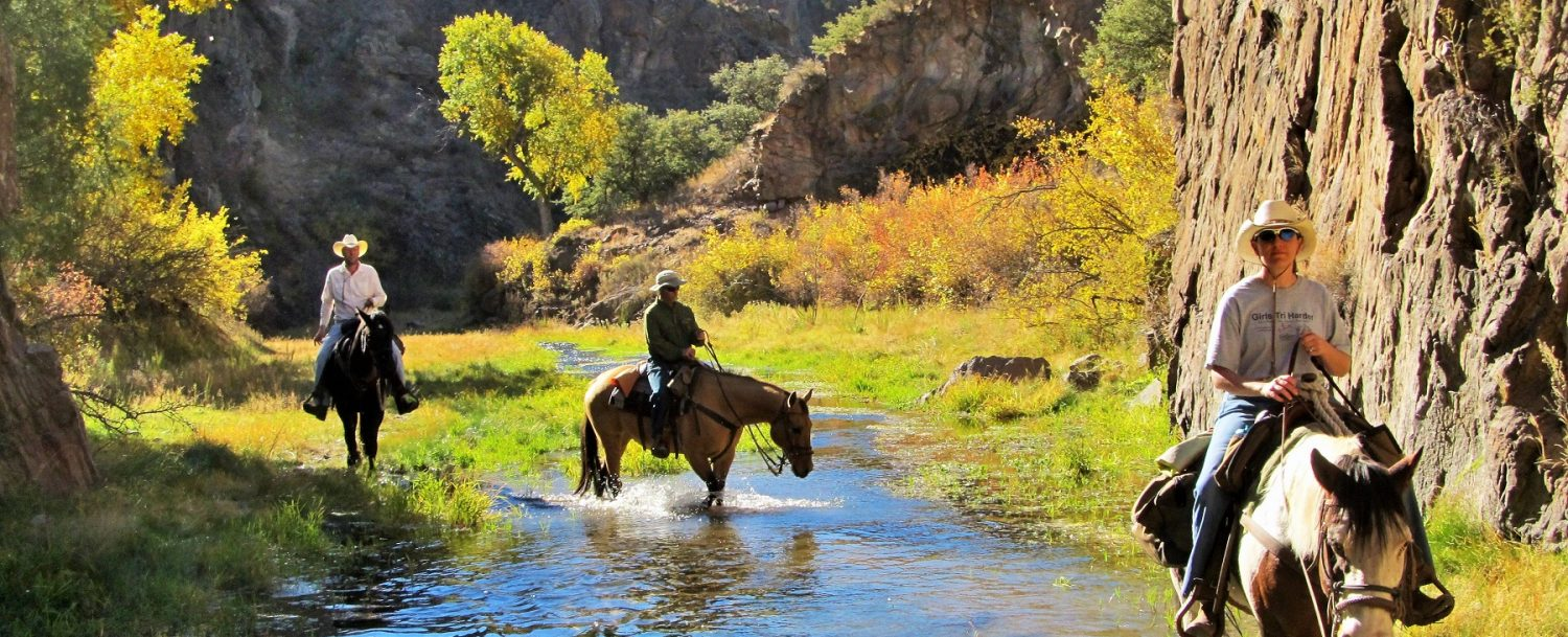 3 Tips for the Best New Mexico Horseback Riding Adventure