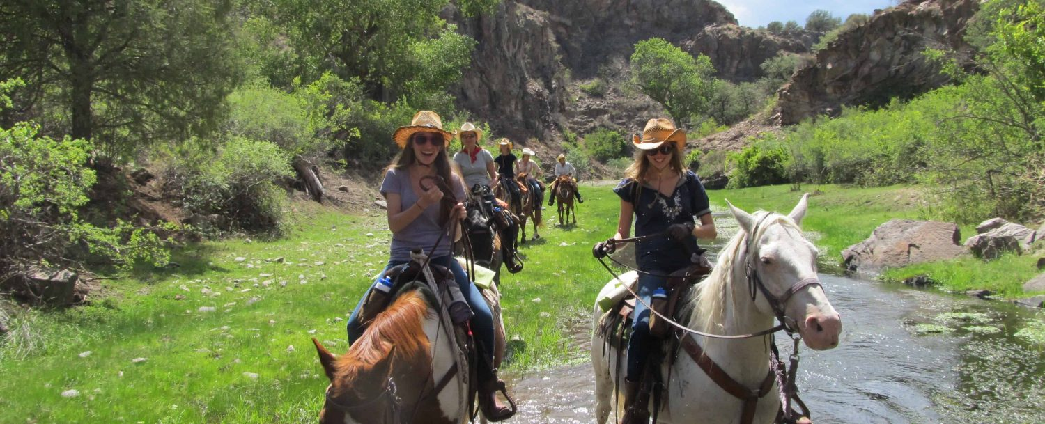 Planning a Getaway? Consider a Gila National Forest Summer Vacation